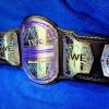 IWE Champion Belt - Image 3